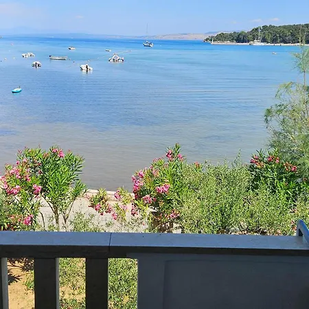 1 Bedroom Amazing In *